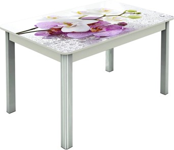 Кухонный раздвижной стол Гамбург исп.2 ноги метал. крашеные №23, Фотопечать (Цветы №44) в Надыме