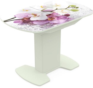 Кухонный раздвижной стол Корсика исп. 1 Фотопечать (Цветы №44) 1100(1415)*700 в Новом Уренгое