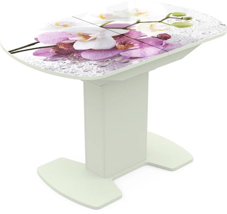 Кухонный раздвижной стол Корсика исп. 1 Фотопечать (Цветы №44) 1100(1415)*700 в Надыме - изображение