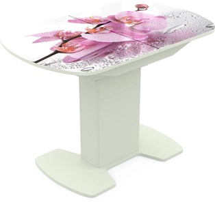 Кухонный раскладной стол Корсика исп. 1 Фотопечать (Цветы №55) 1100(1415)*700 в Салехарде