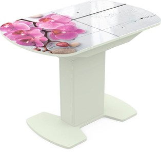 Кухонный раскладной стол Корсика исп. 2 Фотопечать (Цветы №24) 1200(1515)*800 в Надыме