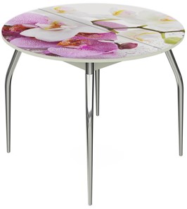 Кухонный раскладной стол Ривьера - Круг, ноги хром №5, ФП (Цветы №44) в Надыме