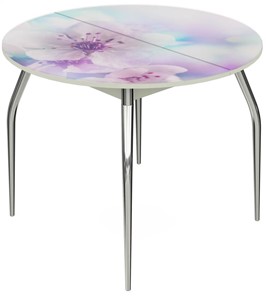 Кухонный стол раздвижной Ривьера - Круг, ноги метал. крашеные №24, ФП (Цветы №40) в Салехарде