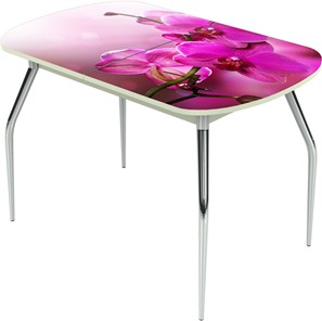 Раздвижной стол Ривьера исп.1 ноги метал. крашеные №24 Фотопечать (Цветы №16) в Ноябрьске