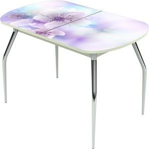 Кухонный раздвижной стол Ривьера исп.1 ноги метал. крашеные №24 Фотопечать (Цветы №40) в Салехарде