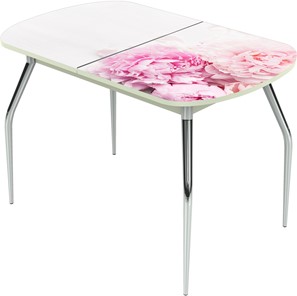 Кухонный стол раскладной Ривьера исп.1 ноги метал. крашеные №24 Фотопечать (Цветы №49) в Салехарде