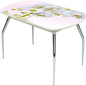 Кухонный раздвижной стол Ривьера исп.1 ноги метал. крашеные №24 Фотопечать (Цветы №7) в Салехарде