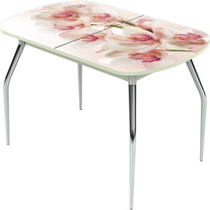 Кухонный раскладной стол Ривьера исп.1 ноги метал. крашеные №24 Фотопечать (Цветы №8) в Салехарде