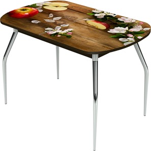 Кухонный раздвижной стол Ривьера исп.1 ноги метал. крашеные №24 Фотопечать (Дерево №9) в Салехарде
