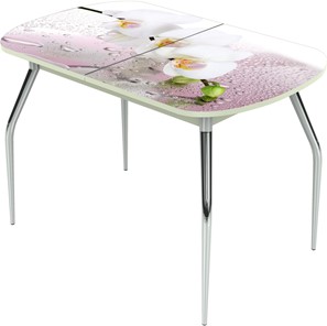 Кухонный стол раскладной Ривьера исп.2 ноги метал. крашеные №24 Фотопечать (Цветы №20) в Салехарде