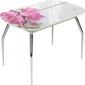 Обеденный раздвижной стол Ривьера исп.2 ноги метал. крашеные №24 Фотопечать (Цветы №24) в Салехарде