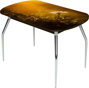 Кухонный раздвижной стол Ривьера исп.2 ноги метал. крашеные №24 Фотопечать (Цветы №43) в Ноябрьске