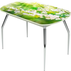 Кухонный стол раздвижной Ривьера исп.2 ноги метал. крашеные №24 Фотопечать (Цветы №45) в Салехарде
