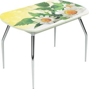 Кухонный раскладной стол Ривьера мини, метал. крашенные №24 Фотопечать (Цветы №3) в Салехарде