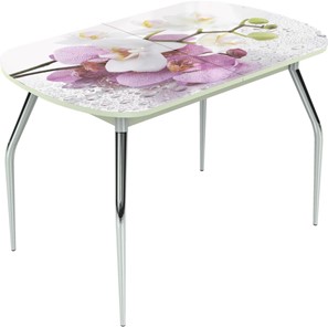 Кухонный раздвижной стол Ривьера мини, метал. крашенные №24 Фотопечать (Цветы №44) в Надыме
