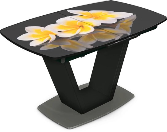 Обеденный раздвижной стол Севилья Фотопечать (Цветы №11) в Надыме - изображение
