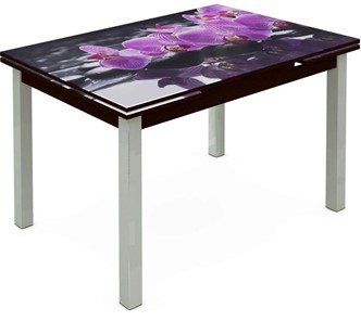 Обеденный раздвижной стол Шанхай исп. 1, ноги метал. крашеные №21 Фотопечать (Цветы №30) в Салехарде