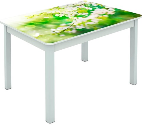 Кухонный стол Мюнхен исп. 1 ноги метал. крашеные №23 Фотопечать (Цветы №45) в Салехарде - изображение