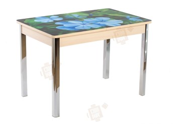Кухонный стол раздвижной Айсберг-01 СТФ, дуб/фотопечать фиалка/ноги хром квадратные в Салехарде