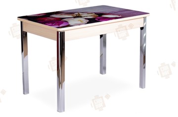 Кухонный раскладной стол Айсберг-01 СТФ, дуб/фотопечать пионы/ноги хром квадратные в Надыме