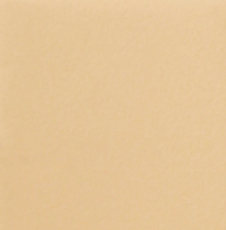 Стул обеденный Ретро С119 (отшив-полоска,опора профиль - стандартная покраска) в Лабытнанги - предосмотр 18