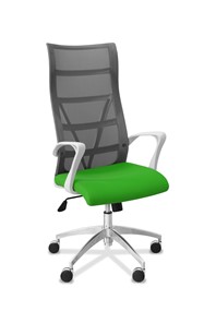 Кресло для руководителя Топ X белый каркас, сетка/ткань TW / серая/салатовая в Ноябрьске