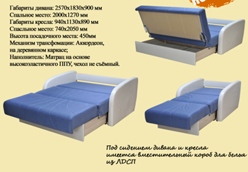 Раскладное кресло Коралл 1 в Муравленко - предосмотр 1
