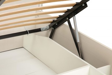 2-спальная кровать с подъемным механизмом Габриэлла 06.02-03 (1600 мм) Вудлайн кремовый в Салехарде - предосмотр 3