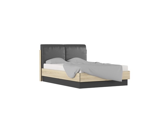 Кровать с механизмом 2-спальная Лофт №16.1 в Салехарде - изображение