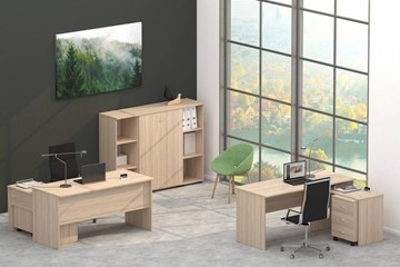 Офисный набор мебели Twin в Новом Уренгое - предосмотр 4