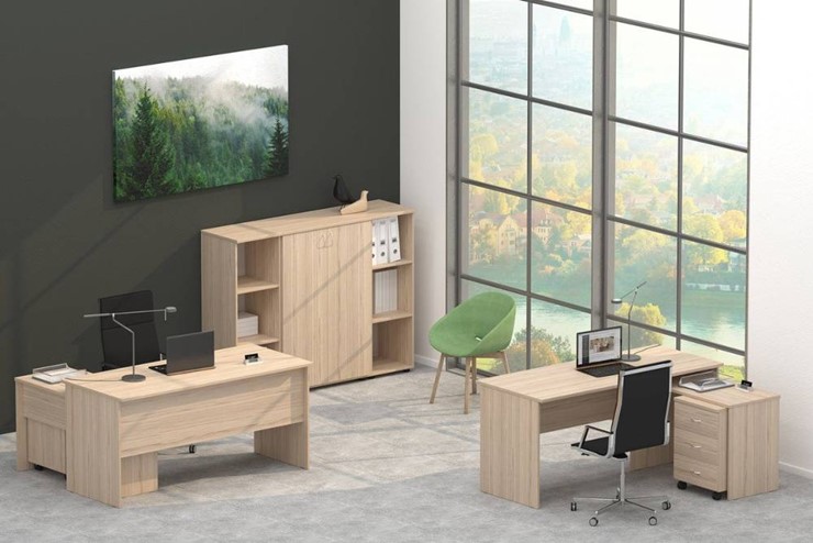 Офисный набор мебели Twin в Ноябрьске - изображение 4