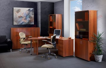 Комплект офисной мебели Референт, фасад орех в Губкинском