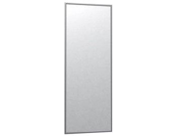 Настенное зеркало Сельетта-6 матовое серебро (1100х400х9) в Ноябрьске