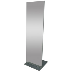 Зеркало напольное в гардероб Стелла (графит темный) 163,5 см x 50 см в Салехарде