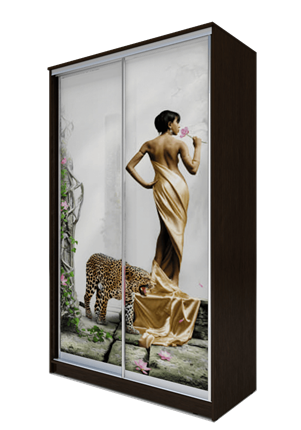 Шкаф 2-х дверный 2400х1200х620, Девушка с леопардом ХИТ 24-12-77-03 Венге Аруба в Салехарде - изображение