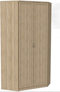 Шкаф распашной 403 несимметричный, цвет Дуб Сонома в Новом Уренгое - предосмотр