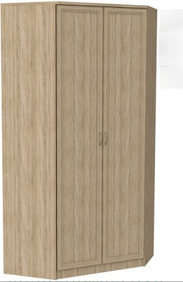 Шкаф распашной 403 несимметричный, цвет Дуб Сонома в Губкинском - изображение
