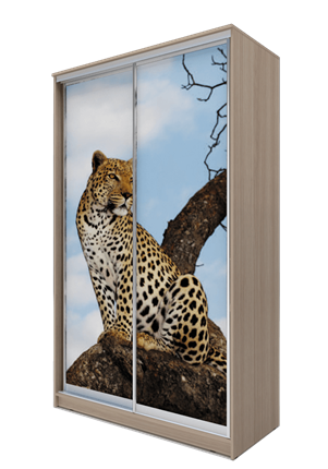 Шкаф 2-х дверный 2300х1682х620, Леопард ХИТ 23-17-77-04 Ясень Шимо Светлый в Салехарде - изображение