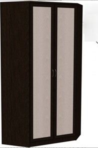 Шкаф 403 несимметричный, цвет Венге в Надыме - предосмотр