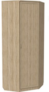 Шкаф распашной 400 угловой, цвет Дуб Сонома в Новом Уренгое - предосмотр