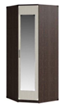 Распашной шкаф угловой Светлана, с зеркалом, венге/дуб молочный в Губкинском - изображение