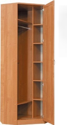 Шкаф распашной 402 угловой со штангой, цвет Дуб Сонома в Надыме - изображение 1