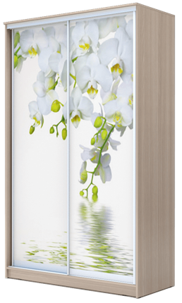 Шкаф 2-х створчатый 2400х1500х620, Белая Орхидея ХИТ 24-15-77-05 Ясень Шимо Светлый в Салехарде - изображение