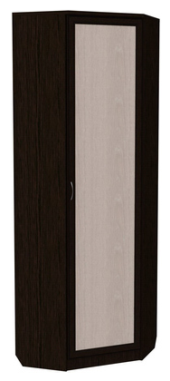 Шкаф 402 угловой со штангой, цвет Венге в Лабытнанги - изображение