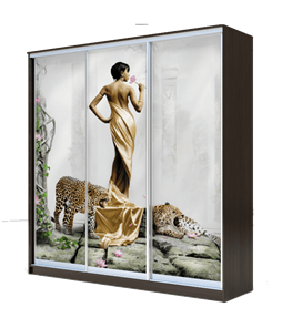 Шкаф 3-х створчатый 2200х2000х420, Девушка с леопардом ХИТ 22-4-20-777-03 Венге Аруба в Салехарде