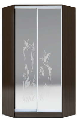 Угловой шкаф 2400х1103, ХИТ У-24-4-66-03, колибри, 2 зеркалами, венге в Салехарде - изображение
