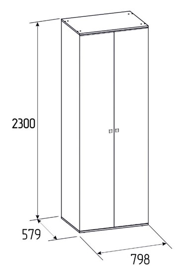 Шкаф двухстворчатый Neo 54, Фасад Стандарт + Стандарт в Тарко-Сале - изображение 2