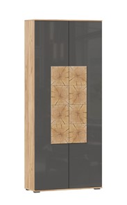 Шкаф двухстворчатый Фиджи с декоративными накладками 659.310, Дуб Золотой/Антрацит в Салехарде