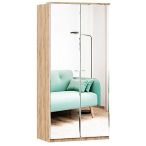 Шкаф двухстворчатый с 2-мя зеркалами Фиджи, 659.238, цвет белый в Ноябрьске