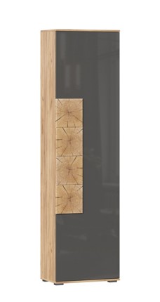 Шкаф одностворчатый Фиджи с декоративными накладками 659.300, Дуб Золотой/Антрацит в Лабытнанги - изображение